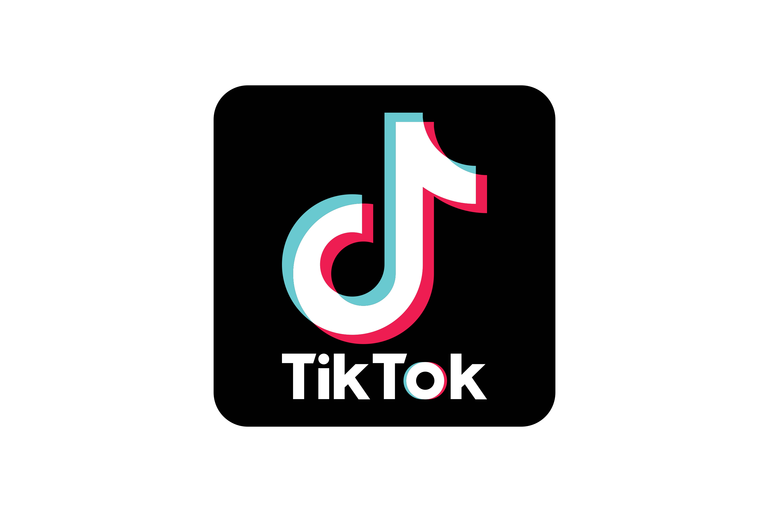 Tik Tok Logo wine